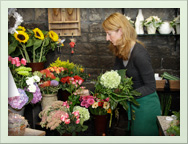 Blumenstraeusse und floristische Variationen